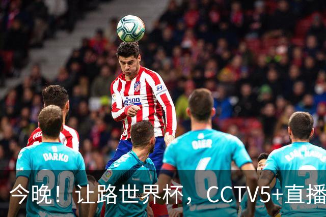 今晚！让路世界杯，CCTV5+直播中国女排VS法国，小将领衔冲击5连胜