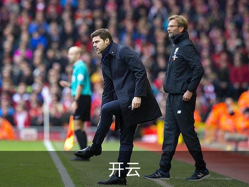 关于开云